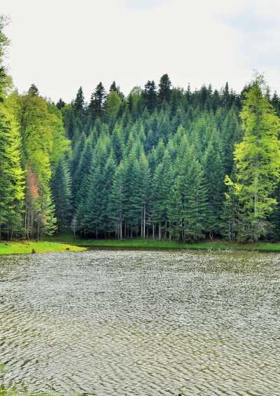 Torkul Yaylası ve Göleti